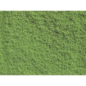 Noch Noch Növényzet (07202)