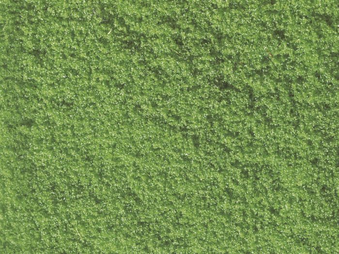 Noch Noch Növényzet (07202)