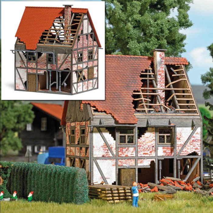 Busch Busch Kisvárosi romos lakóház (1667)