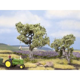 Noch Noch Olajfa - 6 és 9 cm (21995)