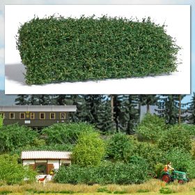 Busch Busch Téphető növényzet, késő nyár (3599)