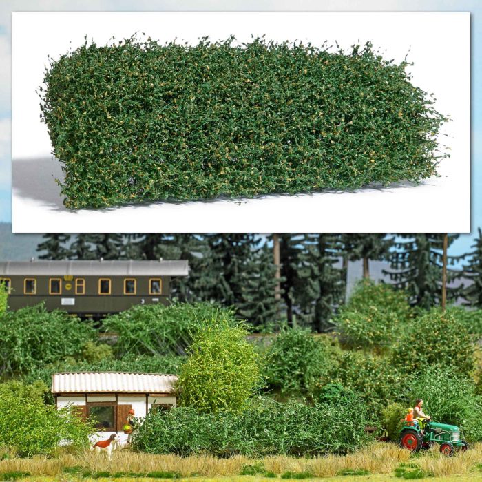 Busch Busch Téphető növényzet, késő nyár (3599)