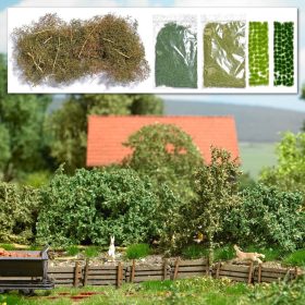 Busch Busch Erdei aljnövényzet (6804)