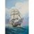 Zvezda French Frigate Acheron 1:200 makett hajó (9034)