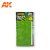 AK Interactive Realistic plants - Bracken Fern