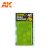 AK Interactive Realistic plants - Jungle Plants Set