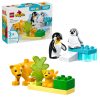 LEGO® Állatcsaládok a vadvilágban: Pingvinek és oroszlánok