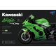 Meng Model MT008s 1:9 Kawasaki ZX-10RR (Pre-colored Edition)