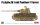 Ryefield model 1:35 Ryefield model 1:35 Pz.Kpfw.IV J mit Panther F Turret