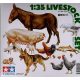 Tamiya 1:35 Farmyard Livestock Set